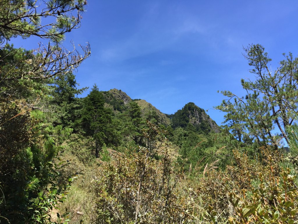 武陵四秀(2015四缺喀_2019喀桃)_689454