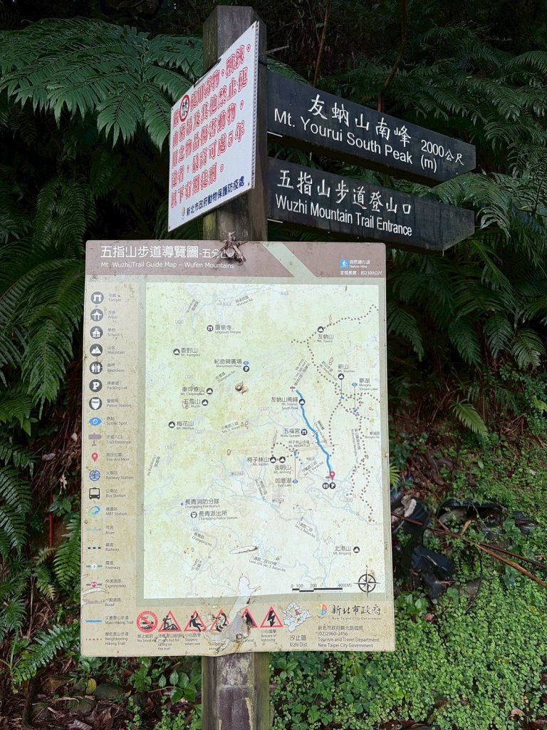 新北 汐止 柯子林橋-柯子林天然泳池-友蚋山南峰-友蚋山-新山-夢湖-柯子林橋_2988372