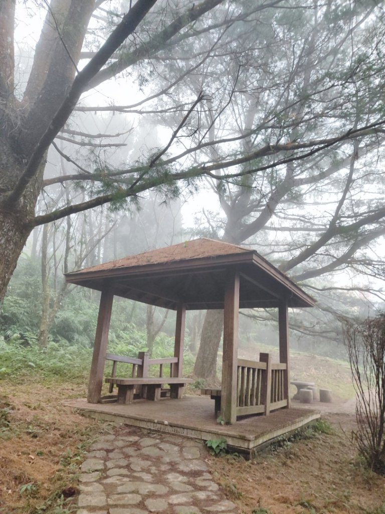 九讚頭車站-大崎棟.茶亭.逃學.騎龍古道20幾K繞大O_2972510