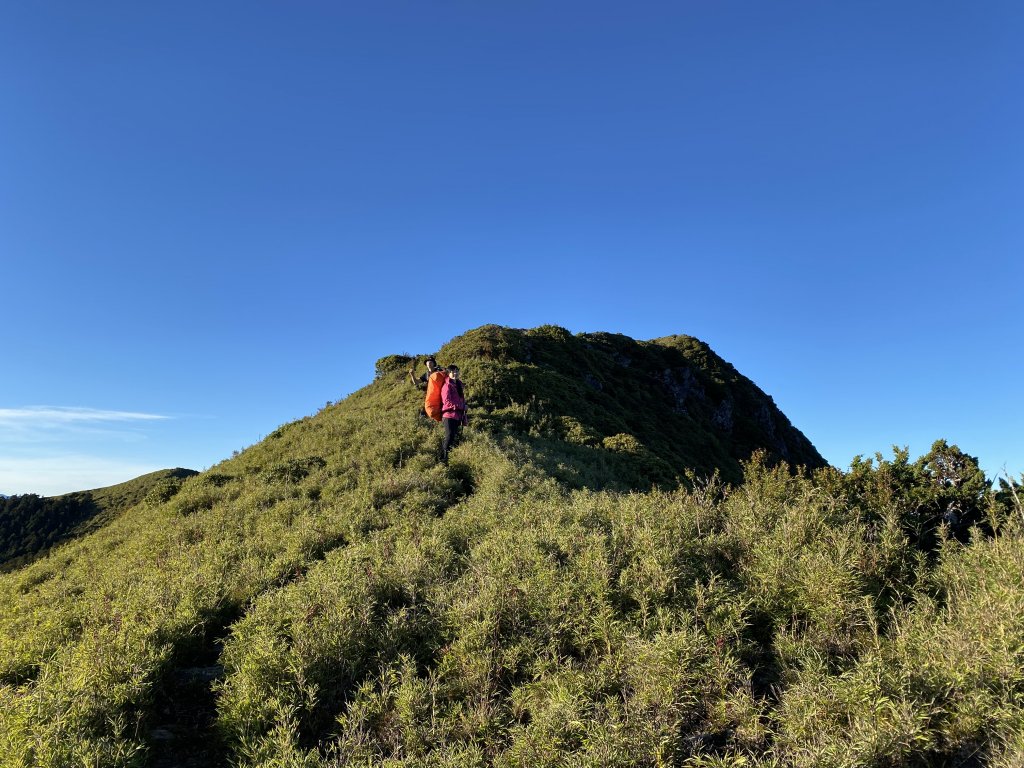 硬邦邦四天「雪山西稜」全記錄！大雪山黃金稜線必訪_1451202