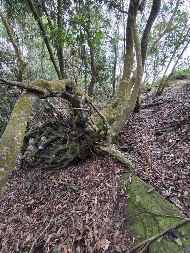 大橫屏山_2872631
