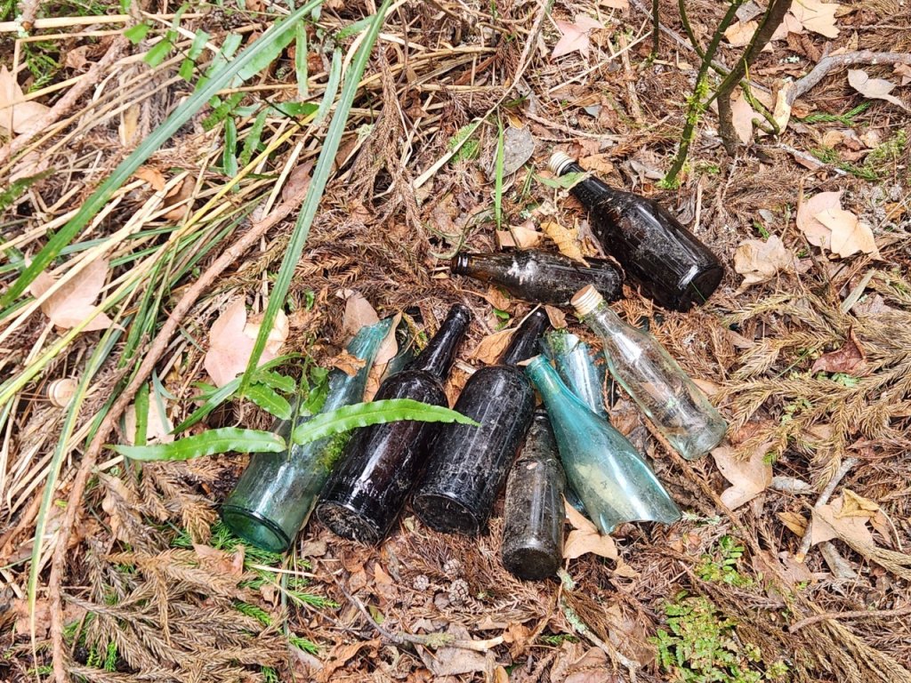 【中級山】芝生毛台山，芝生毛台山西峰，秀巒軍艦岩，屯野生步道，屯野生砲台_2745111