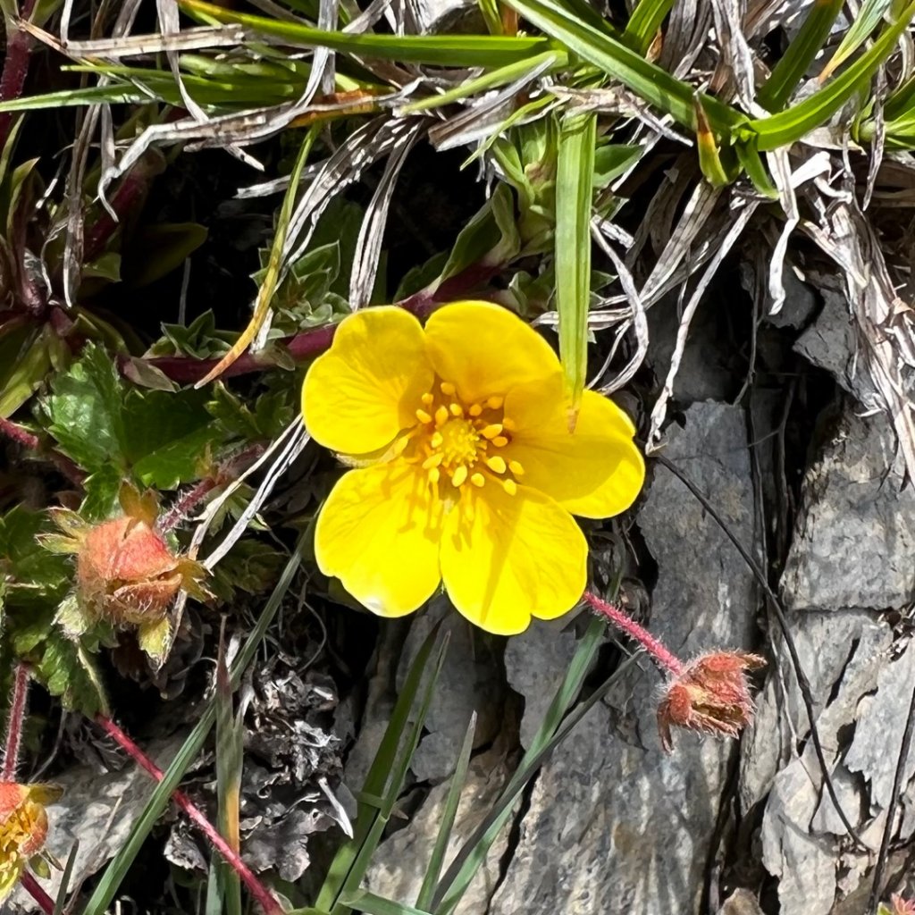 南橫三星 + 關山_1743834