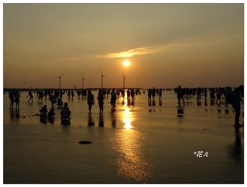 高美濕地木棧道_878020