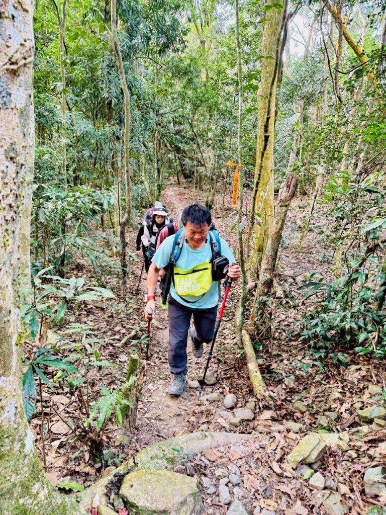 🌈1/11（日）六龜警備道~小百岳~鳴海山×網子山✨FB：熊熊趴爬走🌈_2980534
