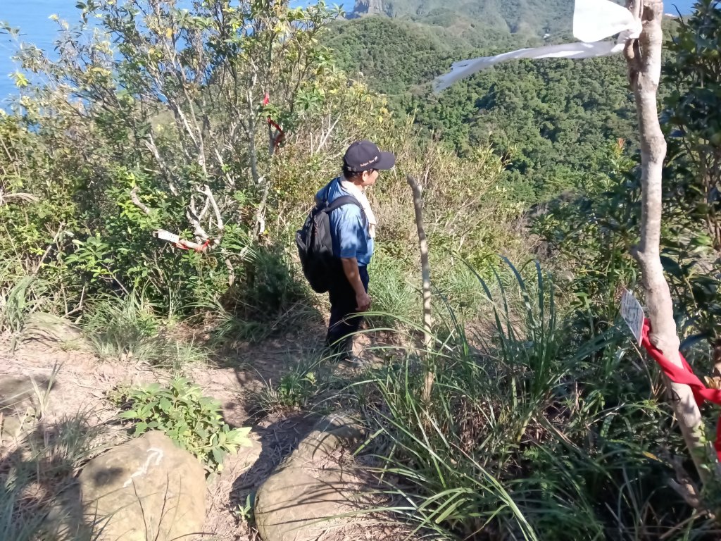 貢寮區龍洞坑古道+苦苓嶺+南雅山+海園古道O型_2954687
