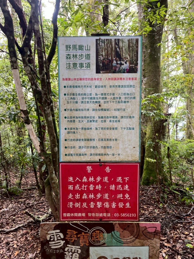 新竹 五峰 雪霸休閒農場 野馬瞰山步道_2811506