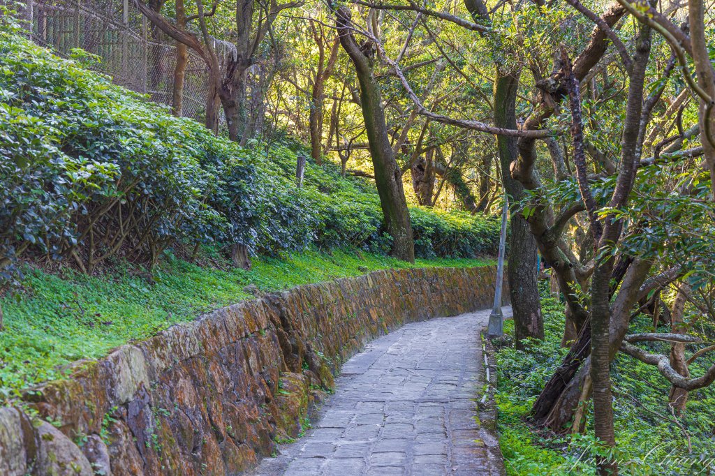 [台北]大崙頭山、碧山巖、忠勇山_2746209