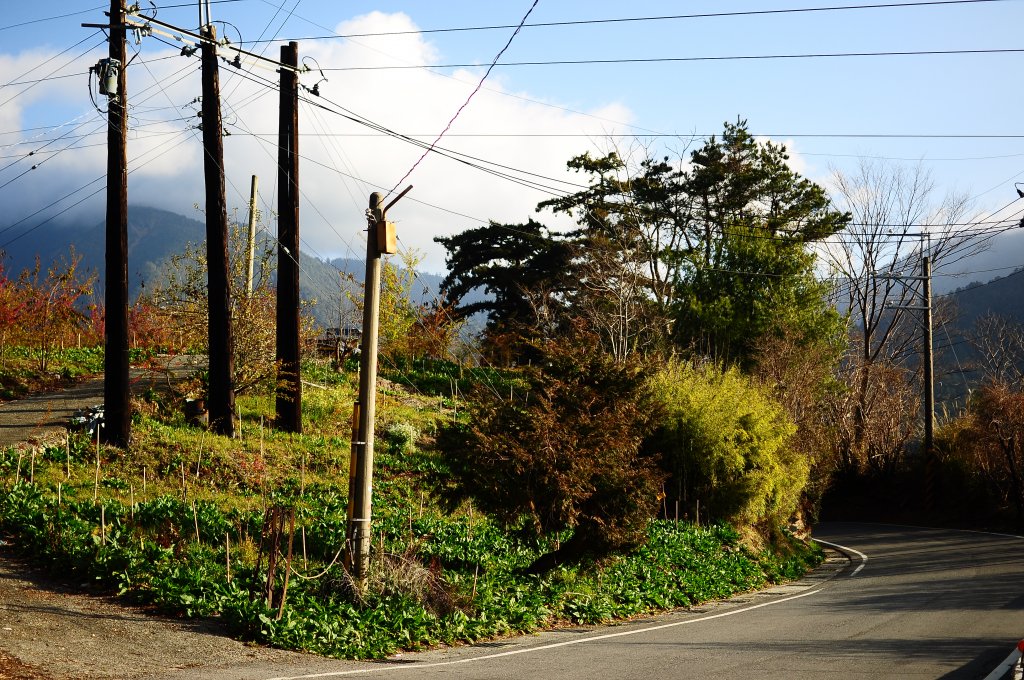 武法奈尾山天巒池_872446