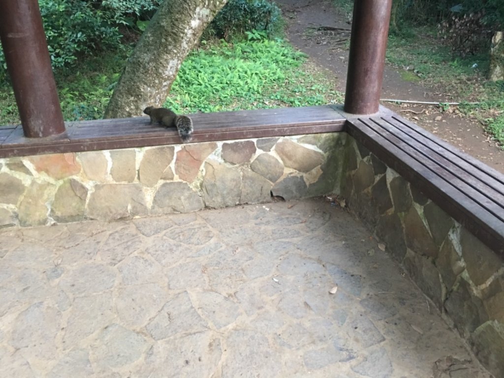 20200202_大屯山群峰_821920