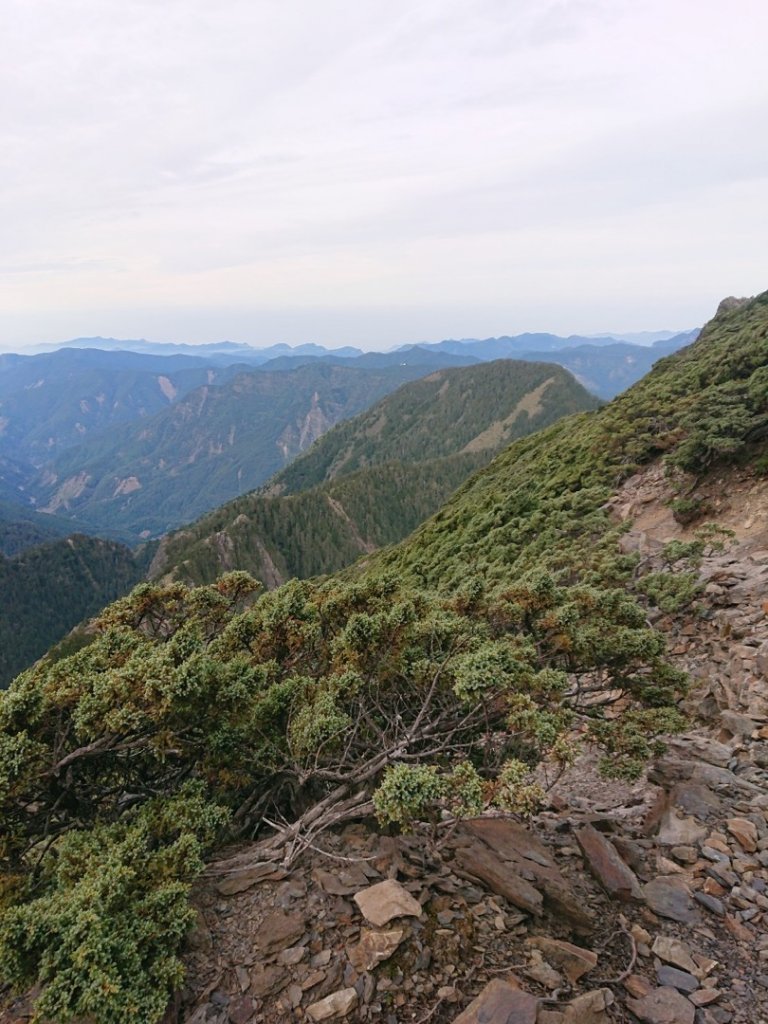 玉山單攻_1897194