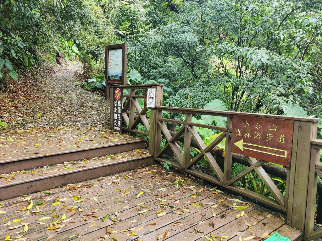 神木園步道_2371854