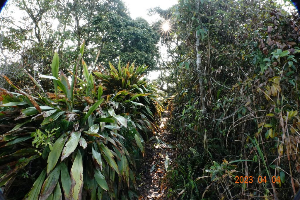 屏東 瑪家、泰武 真笠山、鱈葉根山、日湯真山_2103060