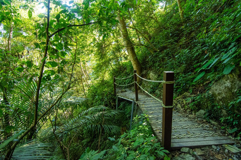 谷關七雄(老么)唐麻丹山/蝴蝶谷_1774251
