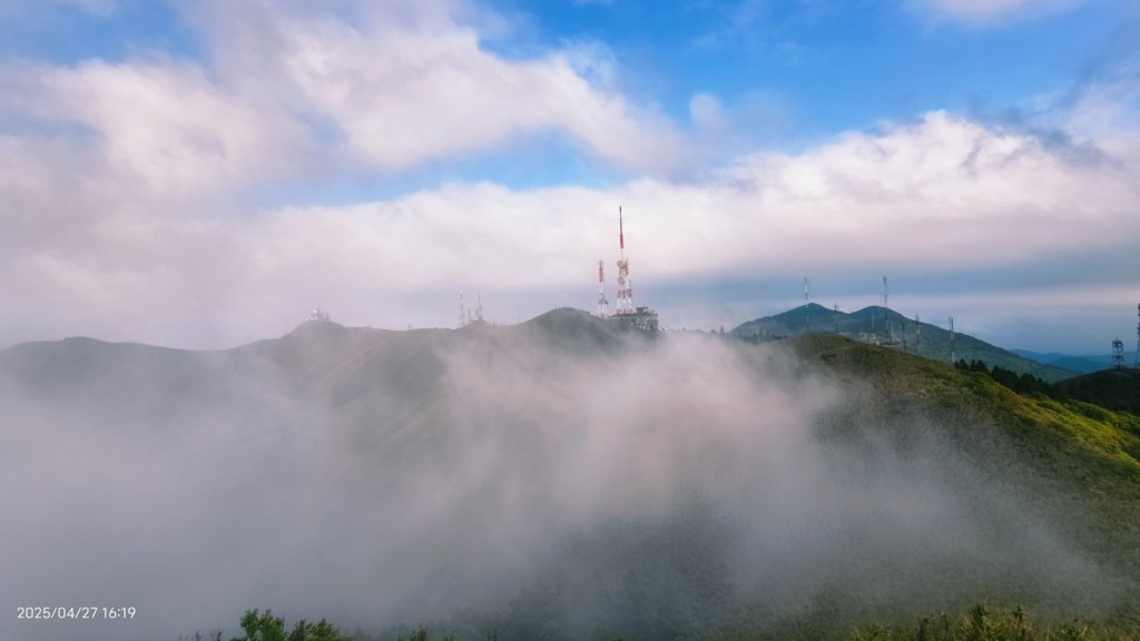陽明山趴趴走 #琉璃光雲海 ，首拍 #綠鳩 4/27_2772144