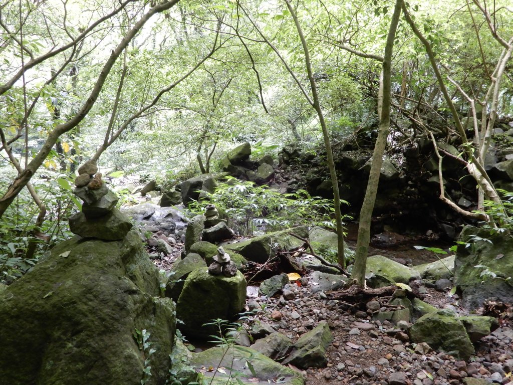 鹿角坑古道+楓林瀑布_1116658