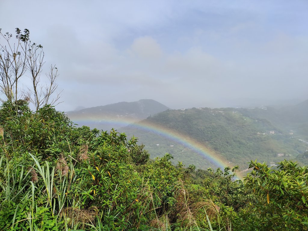 大崙頭尾山封面圖