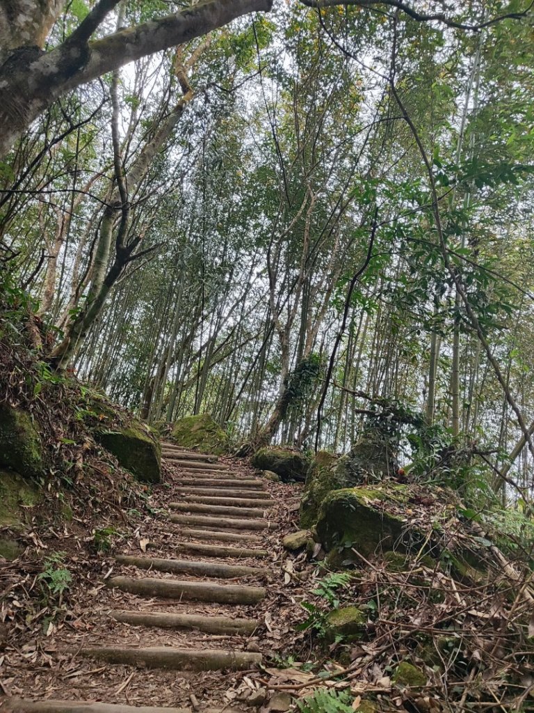 馬那邦山_2666823