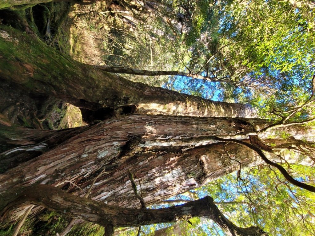 20230219 塔魔巴_2037338