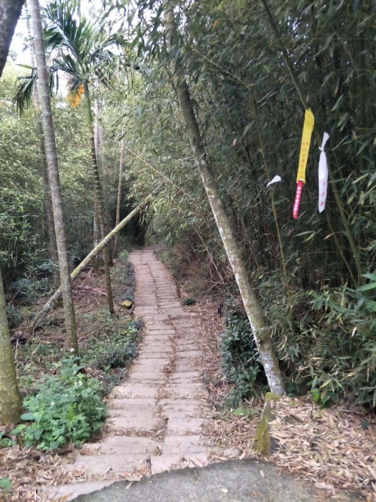 雲嘉七連峰_1560679