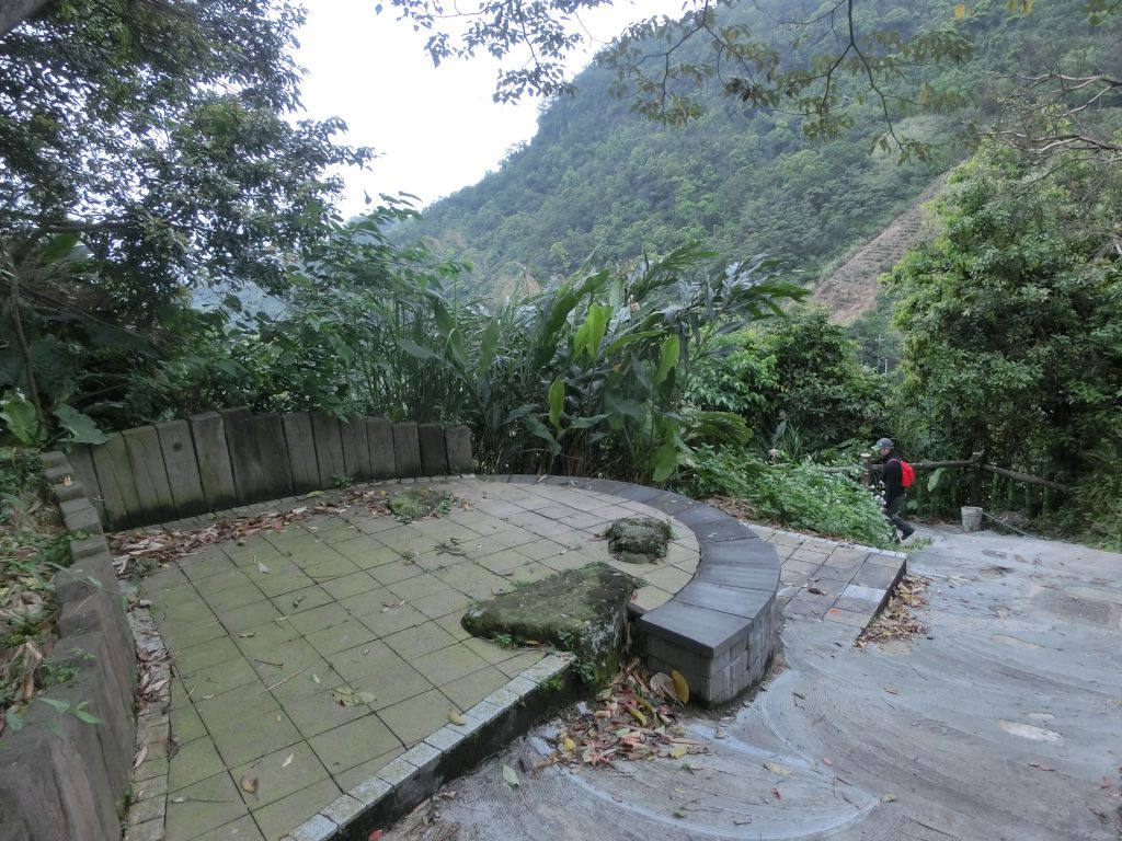 大成殿步道．茶香環狀步道_305419