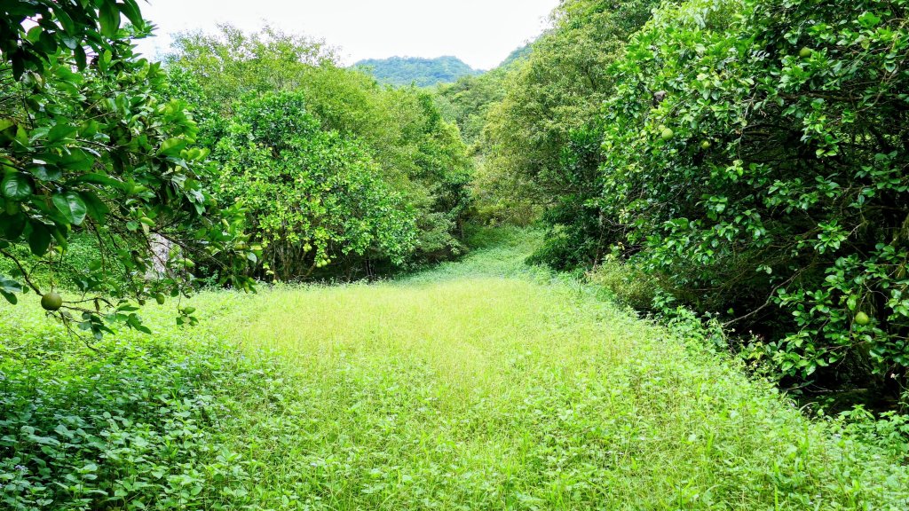 石古井,青林山,畝畝山,平溪子山_2854680