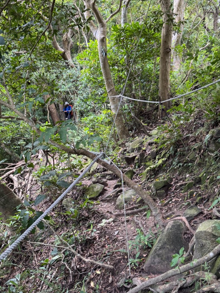 占山+小北插_2863654