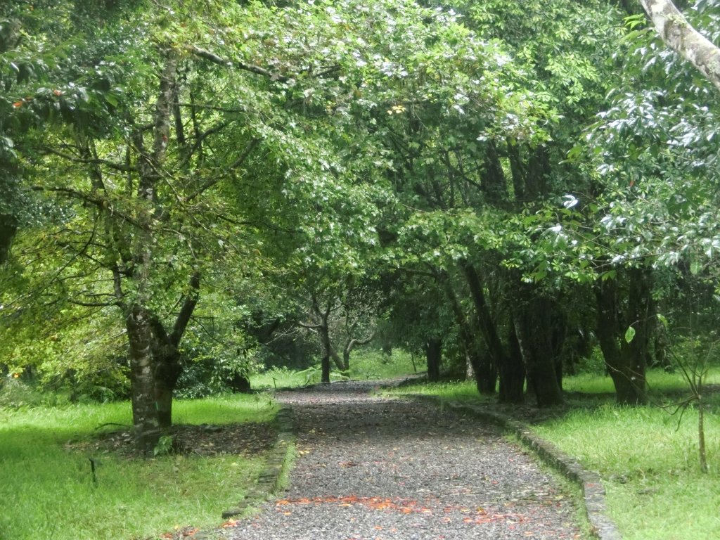 福山植物園_691007