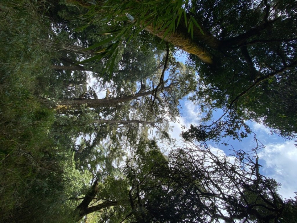 白姑大山_2130220