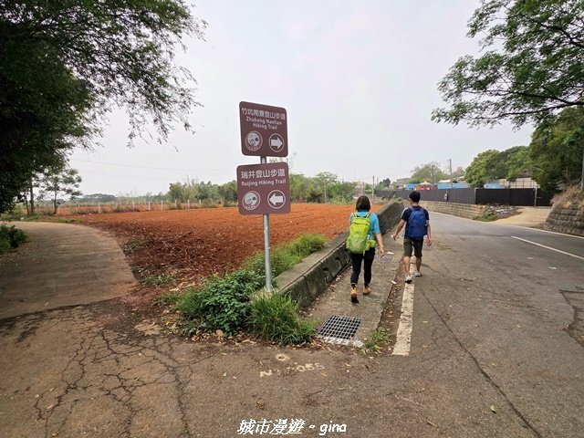 【台中龍井/大肚】竹坑南寮登山步道x瑞井登山步道O繞_3031268