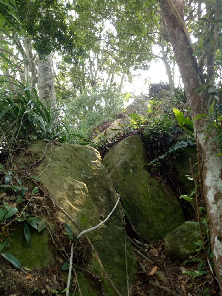 金童山、玉女山、汶水山連走封面圖