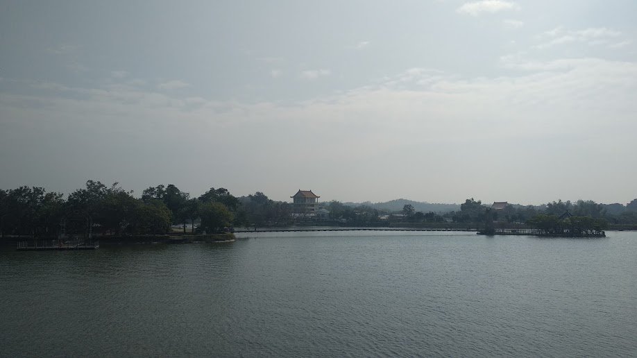 2020 2/4 虎頭埤_878915