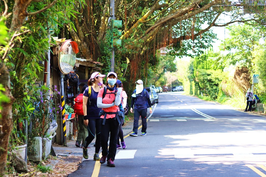 【擔魚之路】擎天崗大草原到關渡平原的奇幻之旅_1484173