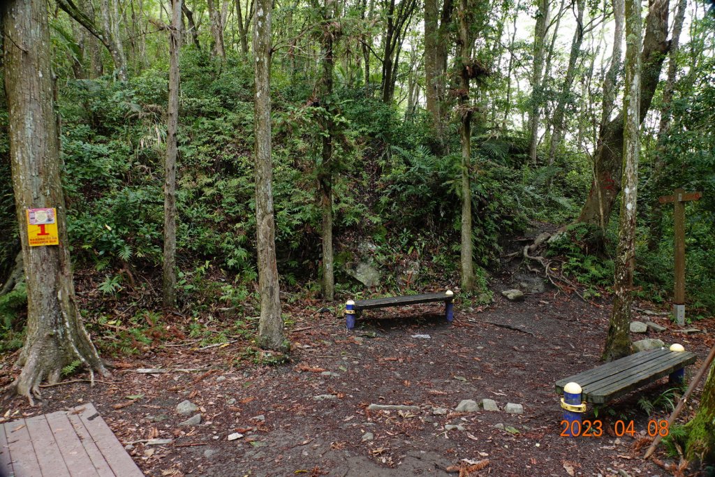 苗栗 泰安 虎山_2107190