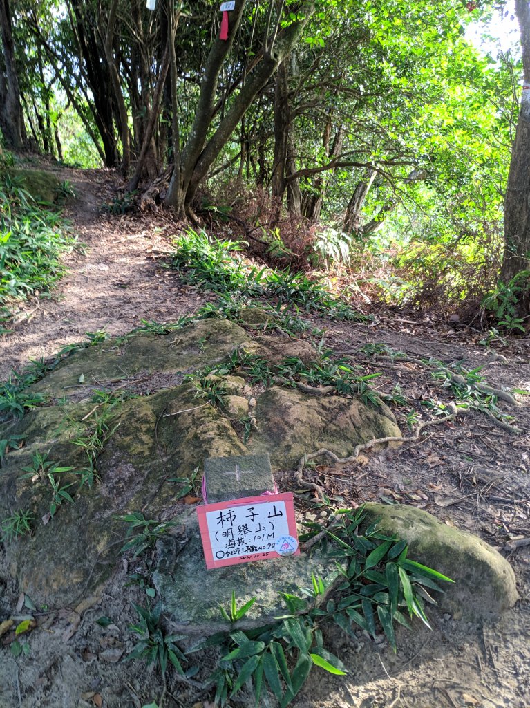 內湖小山封面圖