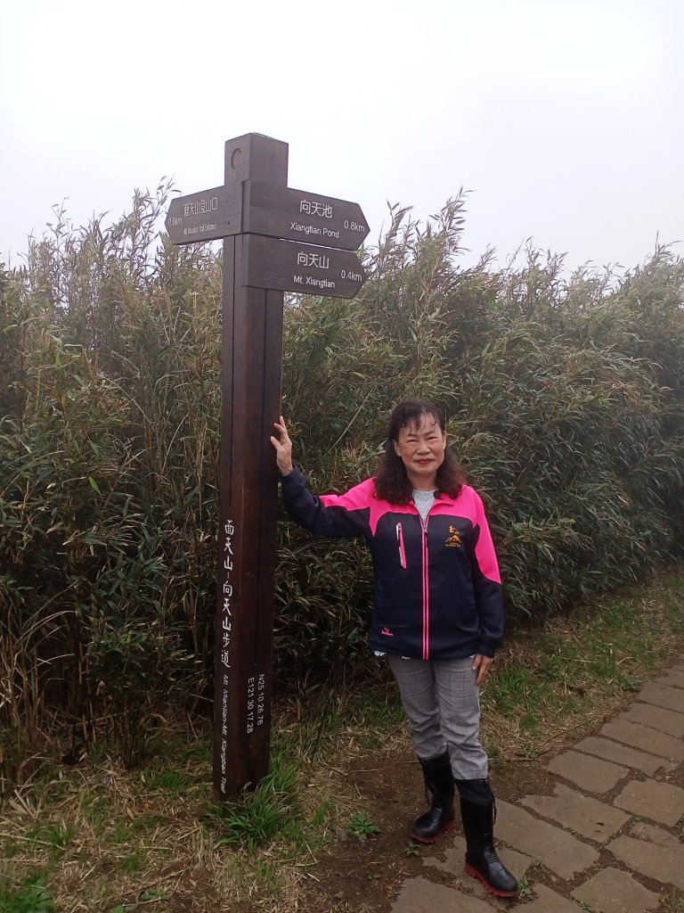 【臺北大縱走 1】二子坪→面天山→清天宮_1274610