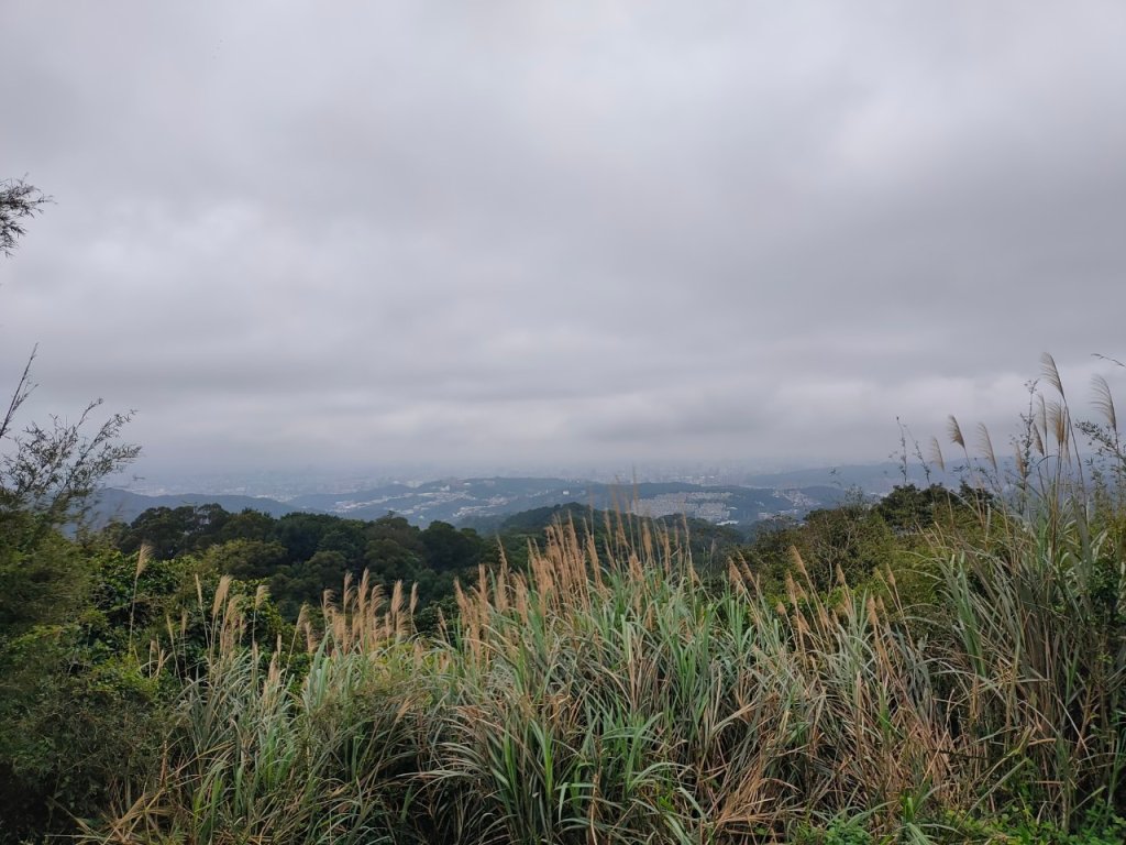 ［樹鶯縱走十連峰］（樹林山~鶯歌石山）（2024/2/24）_2442218