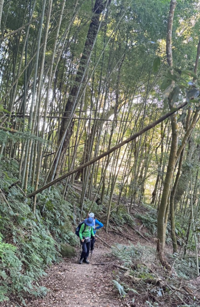 九穹神木 左訪嘉南雲峰 右到好望角看風景上石壁山(小百岳#55)_2944844
