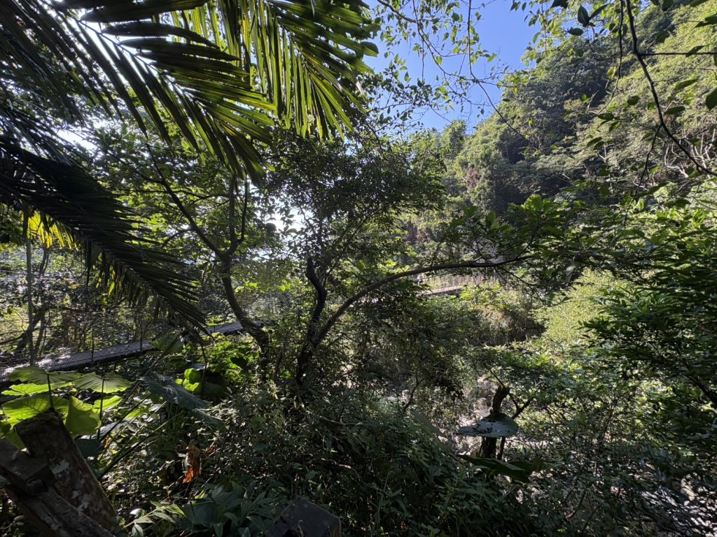 20251122獨立山國家步道+觀音石山+阿拔泉山_2944264