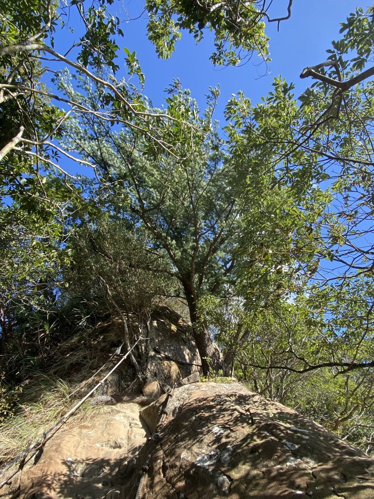 2025微笑山線大縱走尋寶集章任務-Ep.08【二格山系】筆架連峰段｜二格山 × 筆架山北峰_2921661