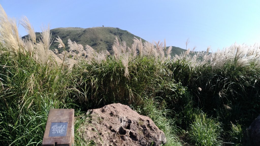 台北東西南北大縱走壯遊趣封面圖