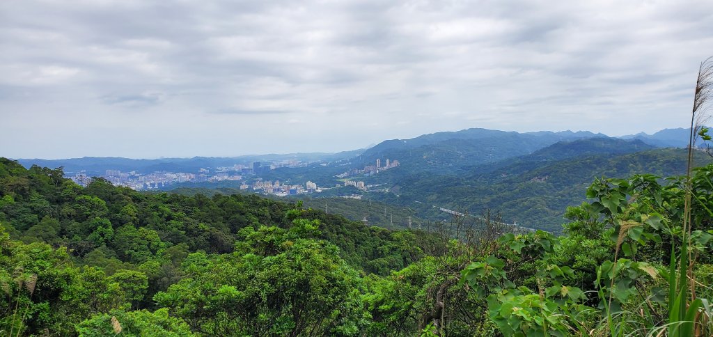 2023-04-09南港山縱走、象山親山步道_2103199