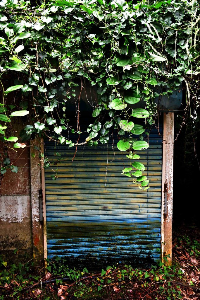 20230730獨立山爬山JRJ淨山_2247261