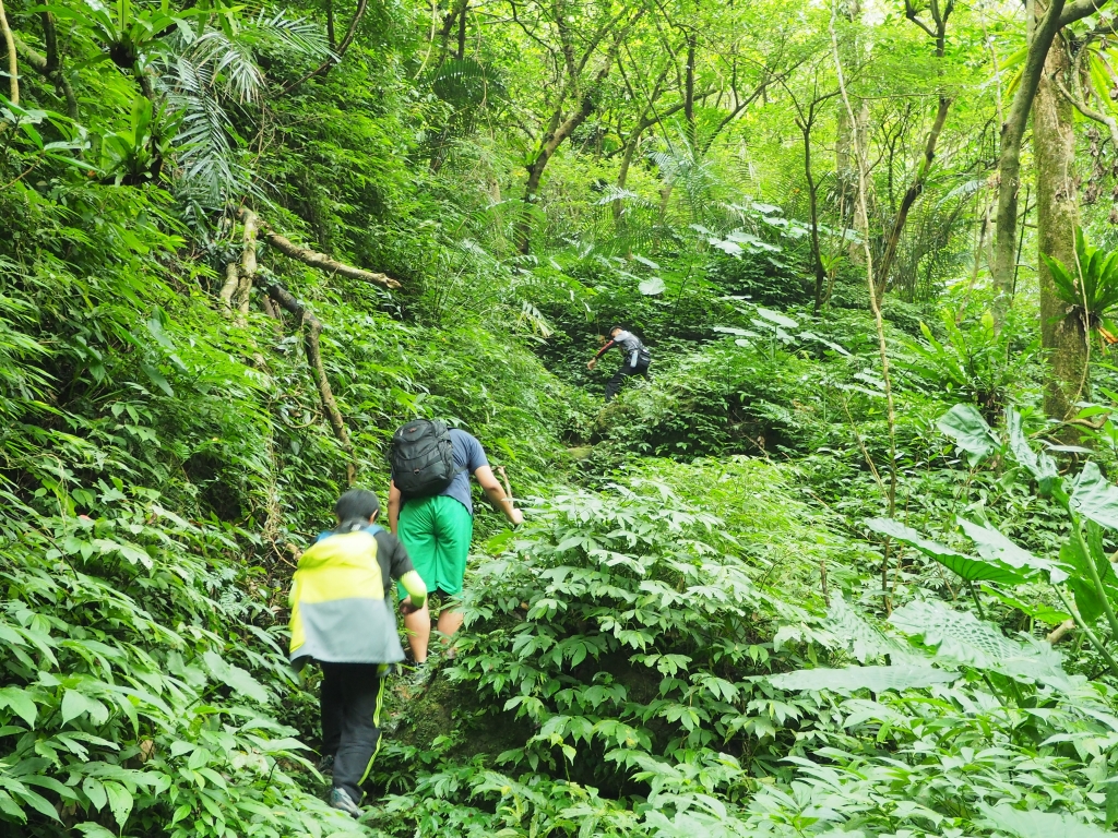 健行日 - 摸乳巷古道、烏塗溪步道封面圖