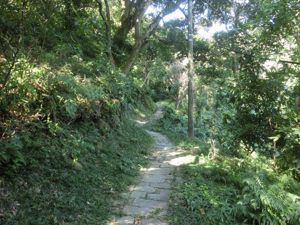 大溪訪古．花彩節_733347