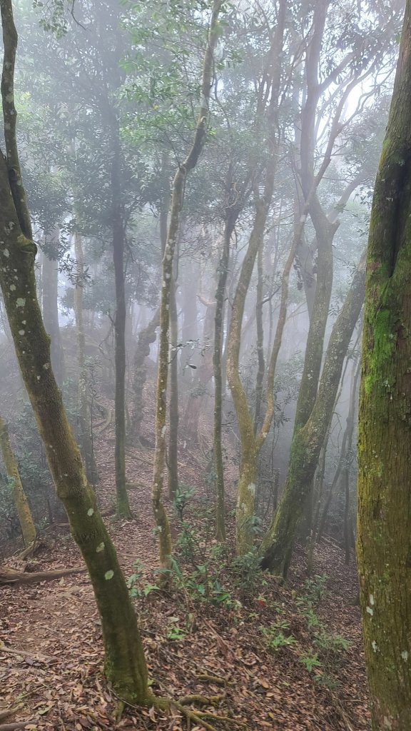 2023-1203仙山八仙古道O型_2368046