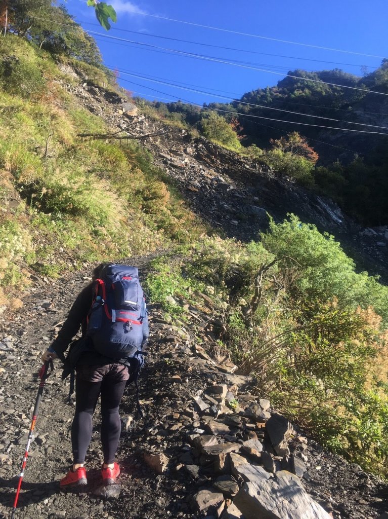 猴子就是愛爬山(奇萊南華)#5.6_567365