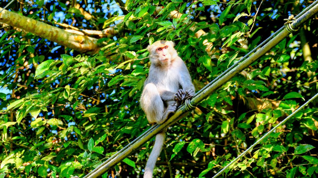 南化刣牛湖山_2987557