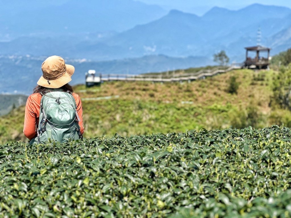 溪頭六連峰O繞_2741704