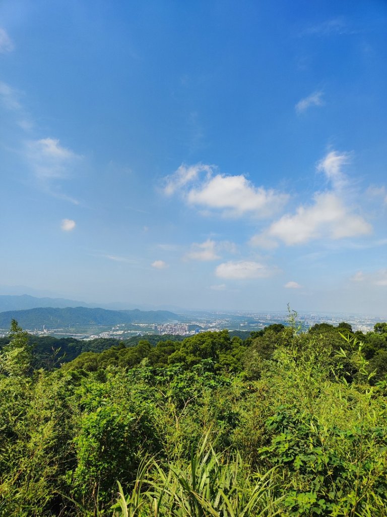 後花園散散步_2855167